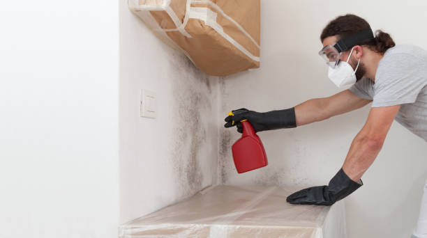 Professional Crawl Space Mold Removal technician working in Belmont, MI